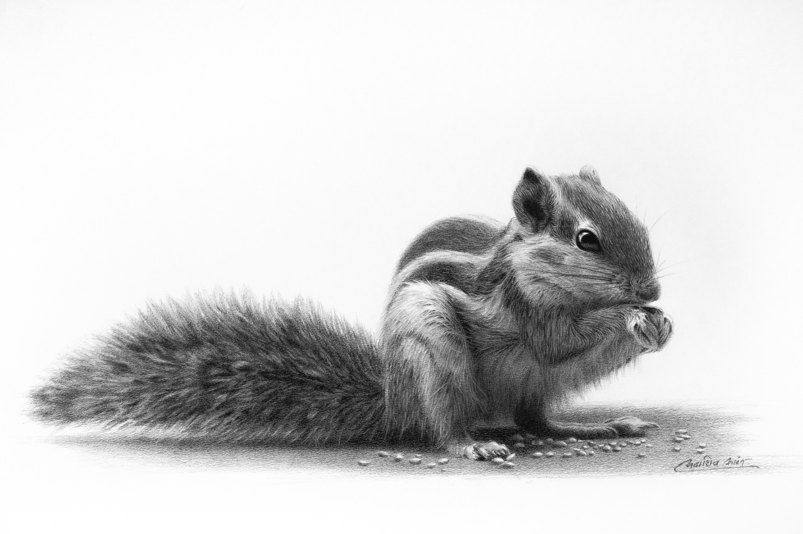 realistic pencil drawing for beginners
