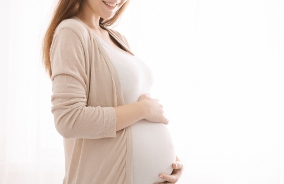 Pregnancy Program