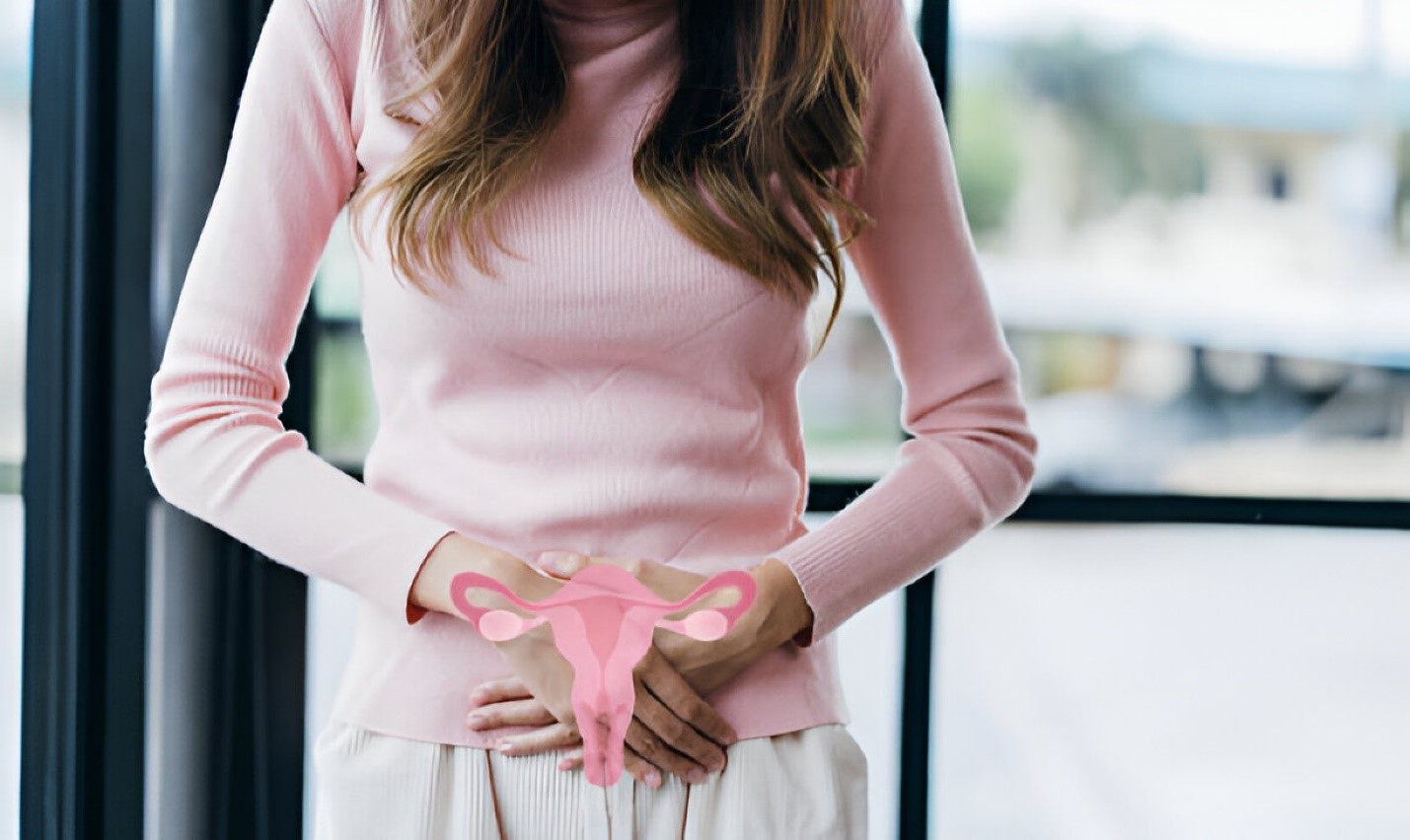 What Triggers Elevated Prolactin Levels?