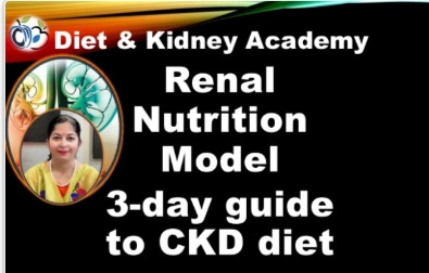Renal Nutrition Model - 3-day guide to CKD diet