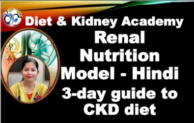Renal Nutrition Model - Hindi