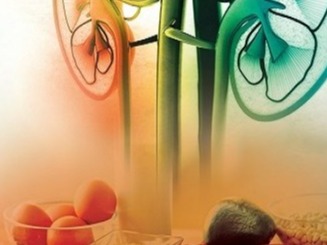 Dr Suneeti Khandekar Consult